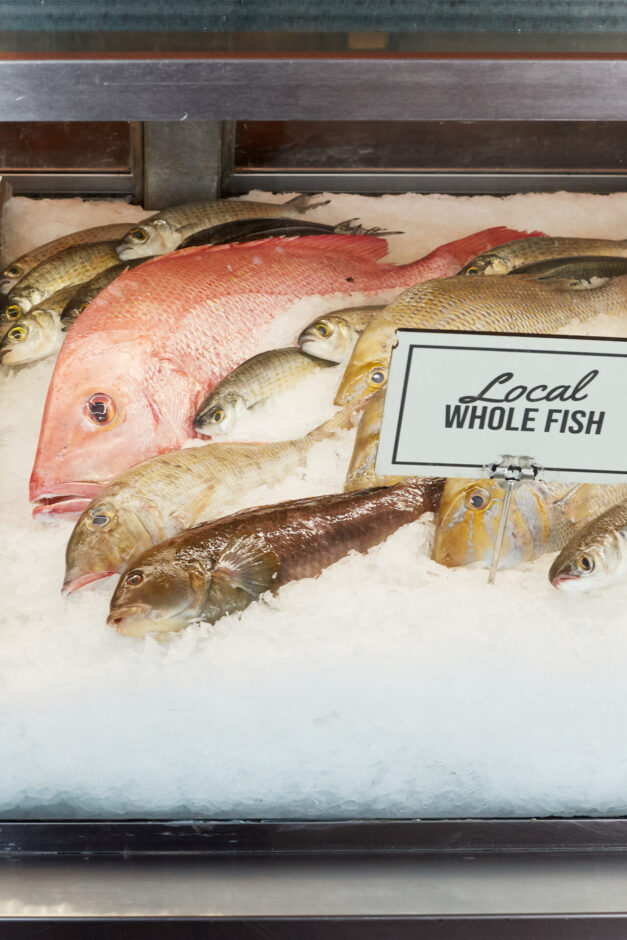 Fresh local whole fish for sale at Kailis Fishmarket Cafe