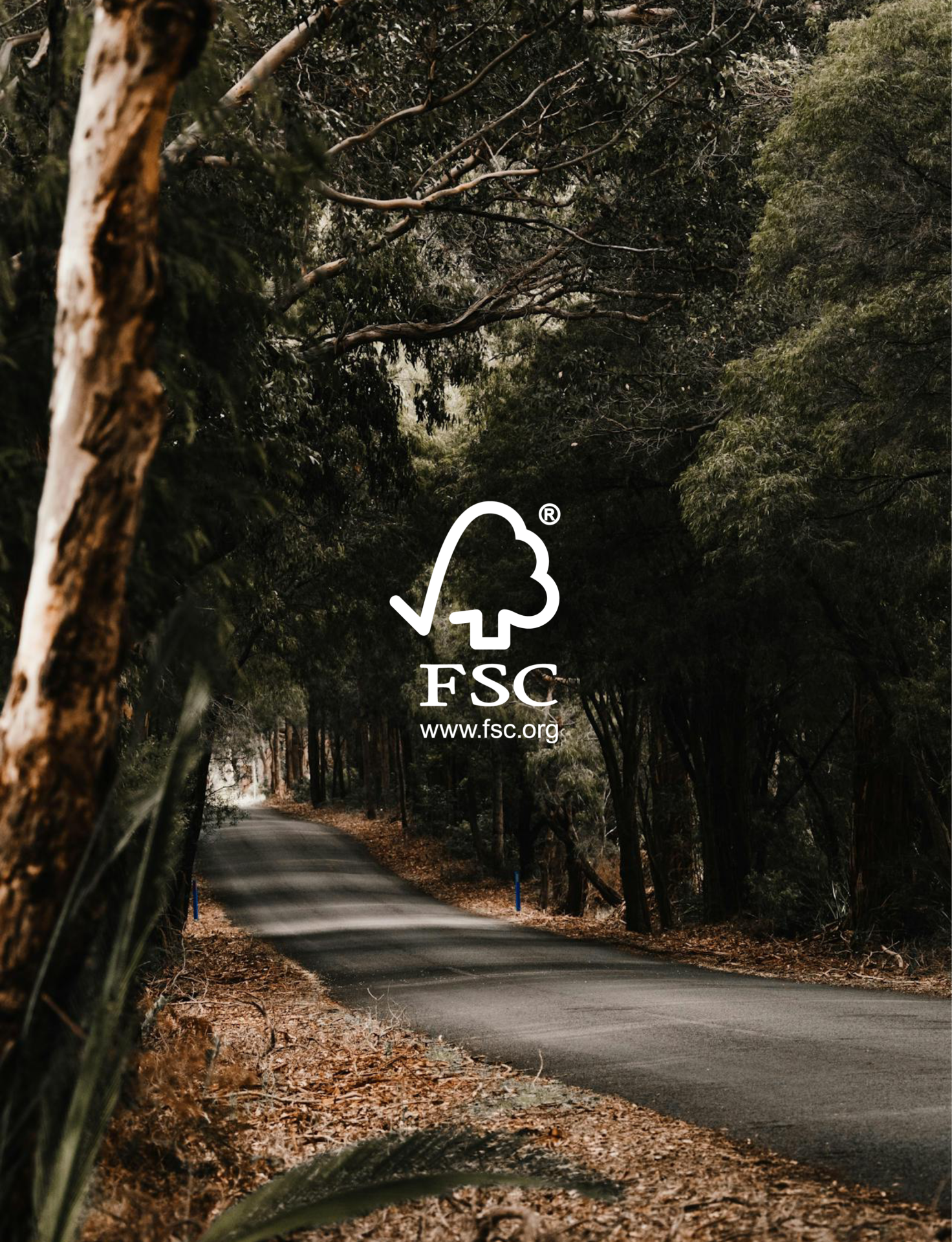 NOROCK's sustainability journey: A south-west road with the FSC Logo on it